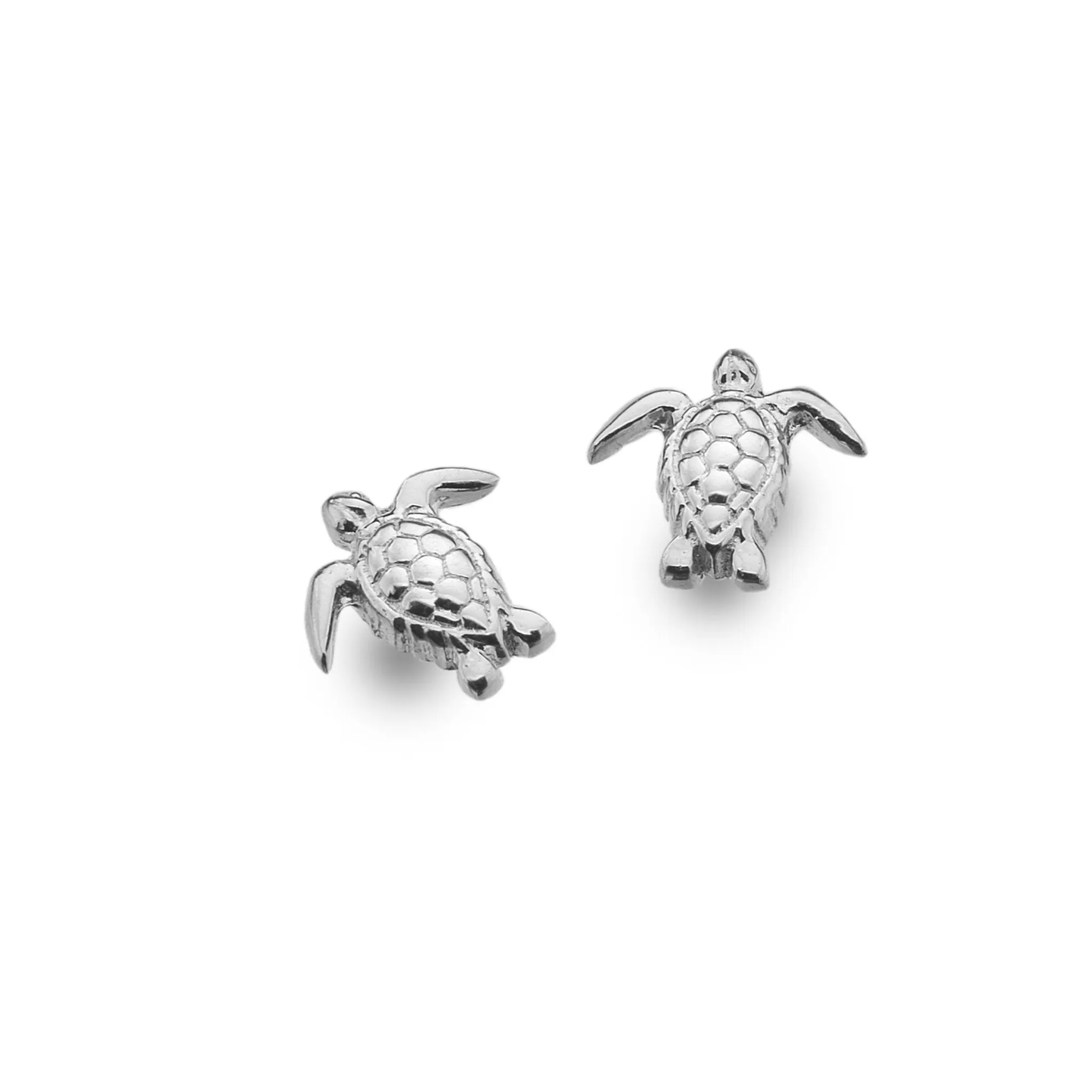 Baby Turtle Studs