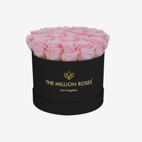 Classic Black Box | Light Pink Roses