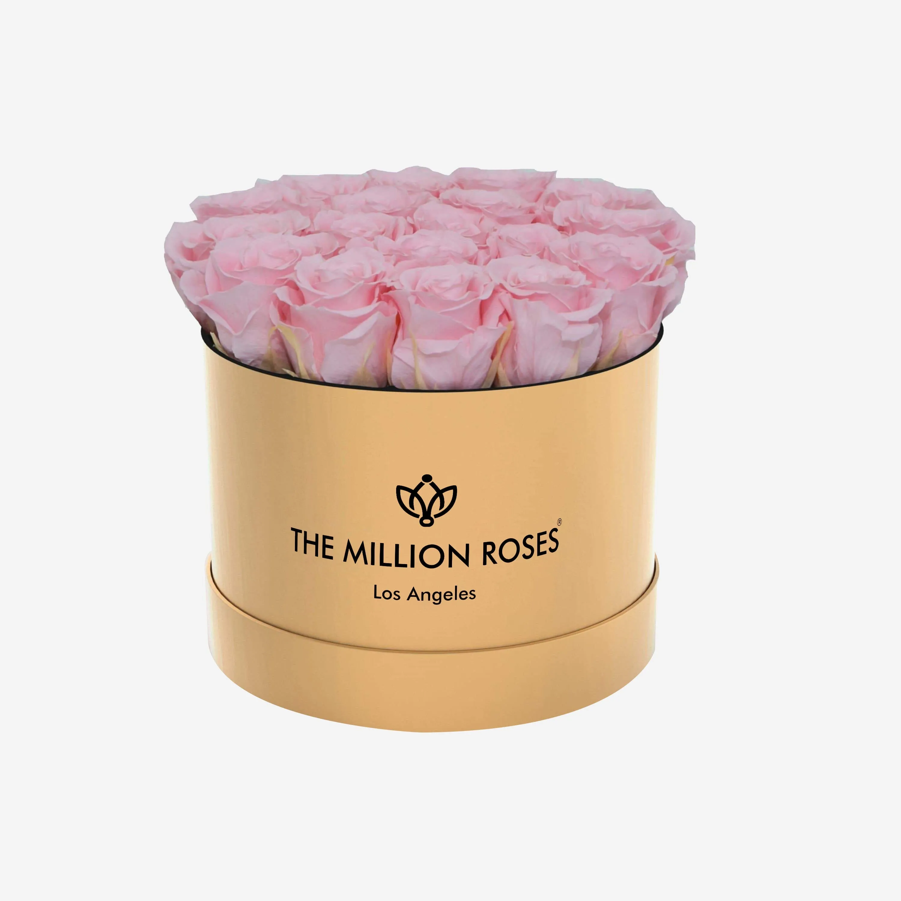 Classic Gold Box | Light Pink Roses