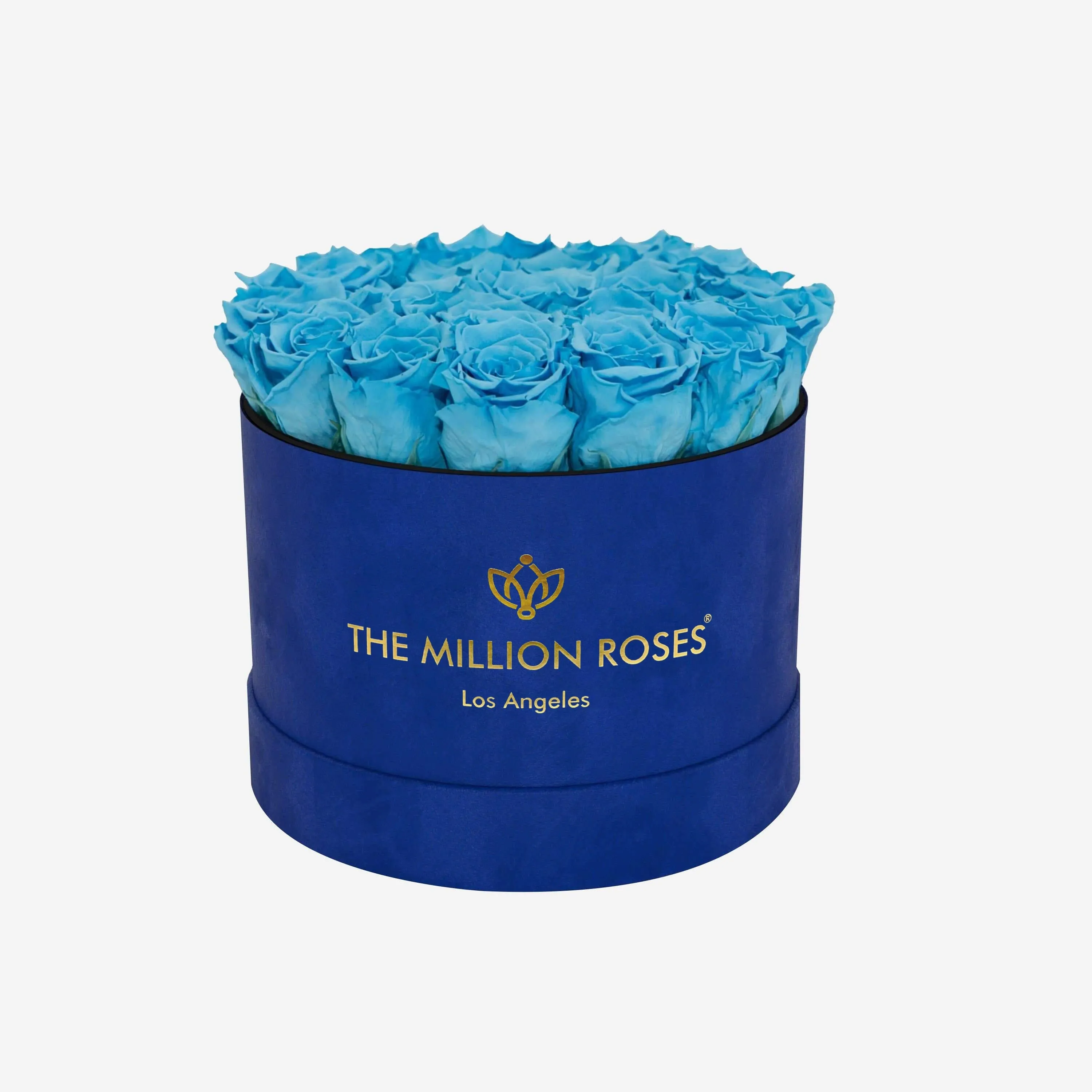 Classic Royal Blue Suede Box | Light Blue Roses