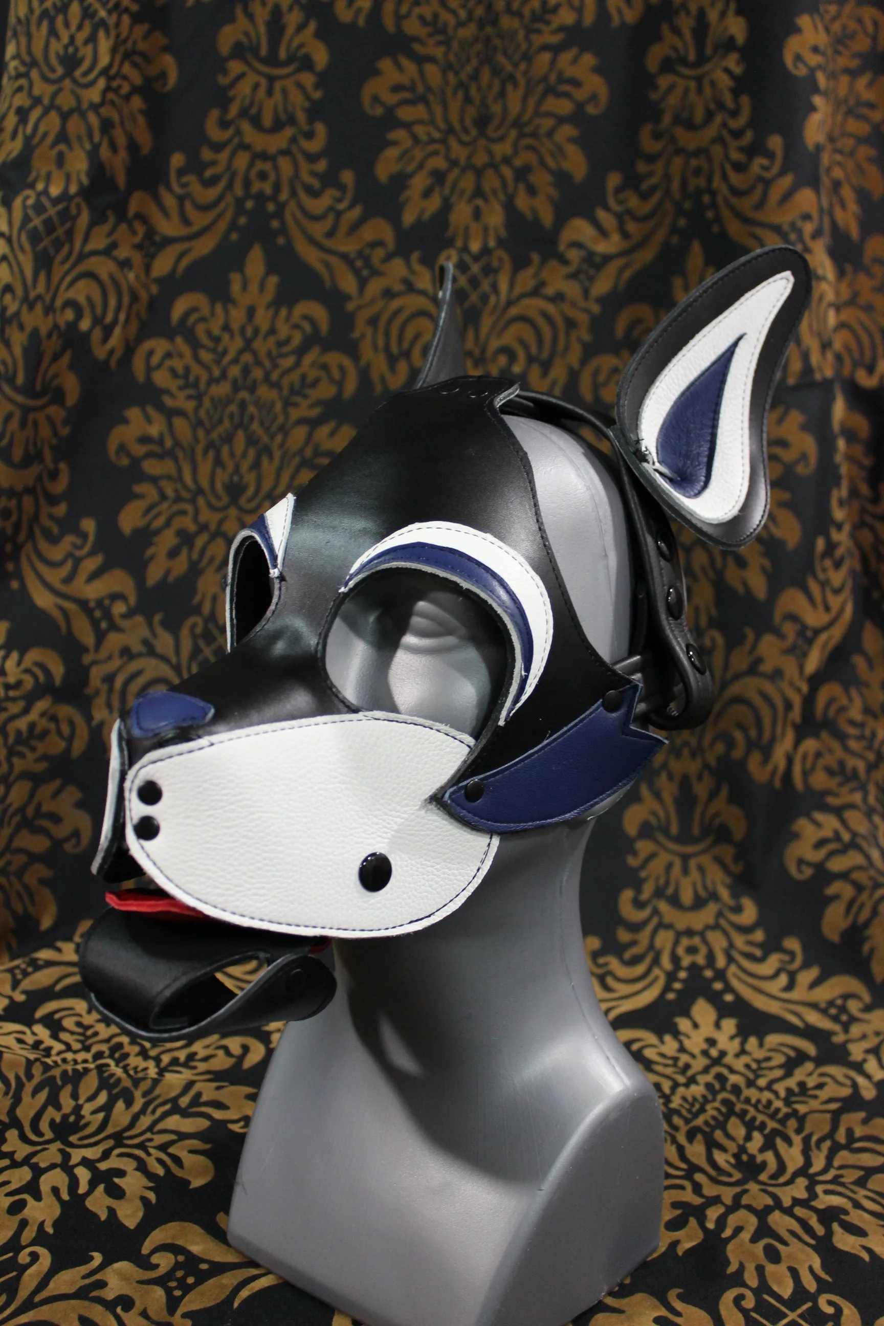 Husky style Pup Hood with Blue highlights