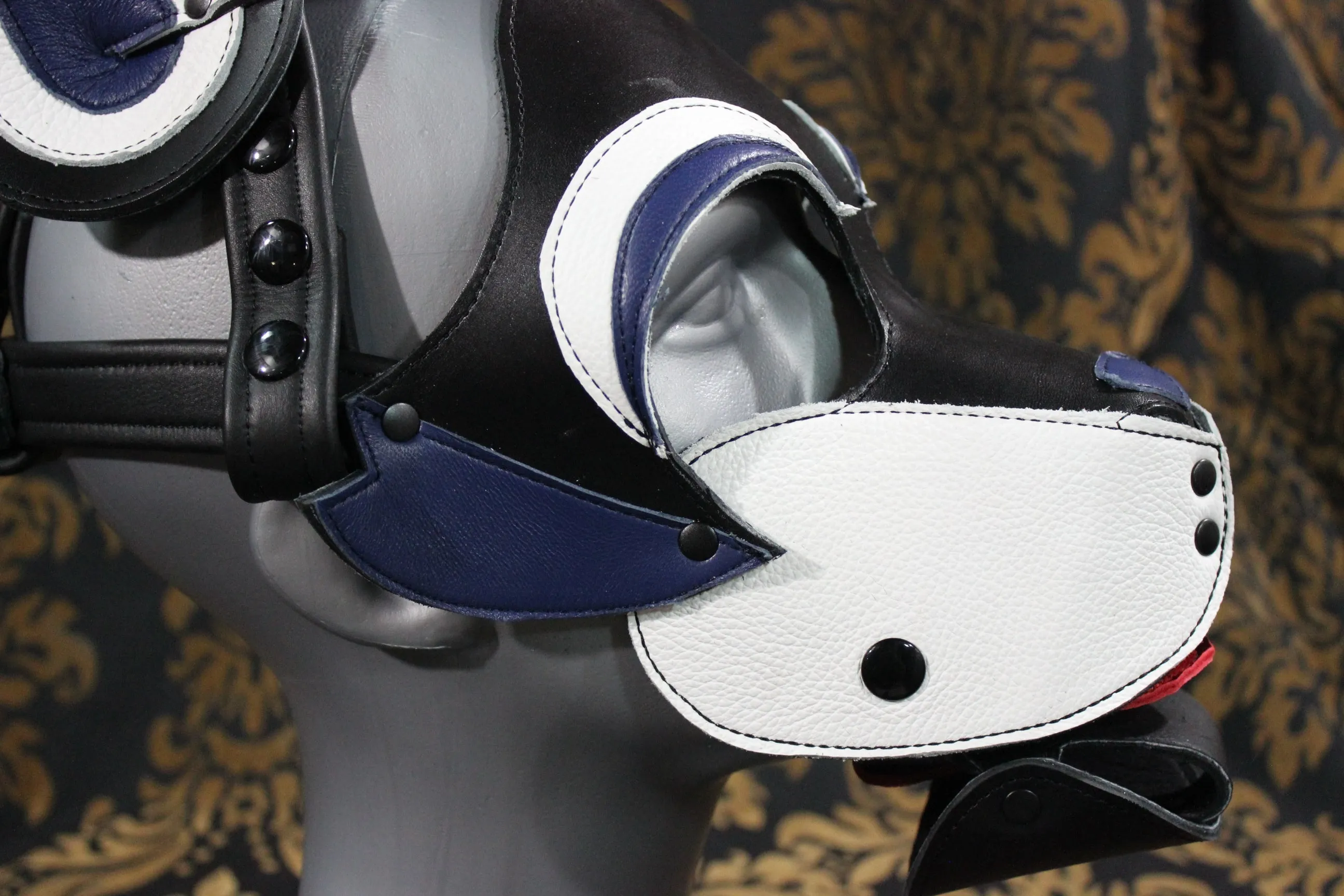 Husky style Pup Hood with Blue highlights