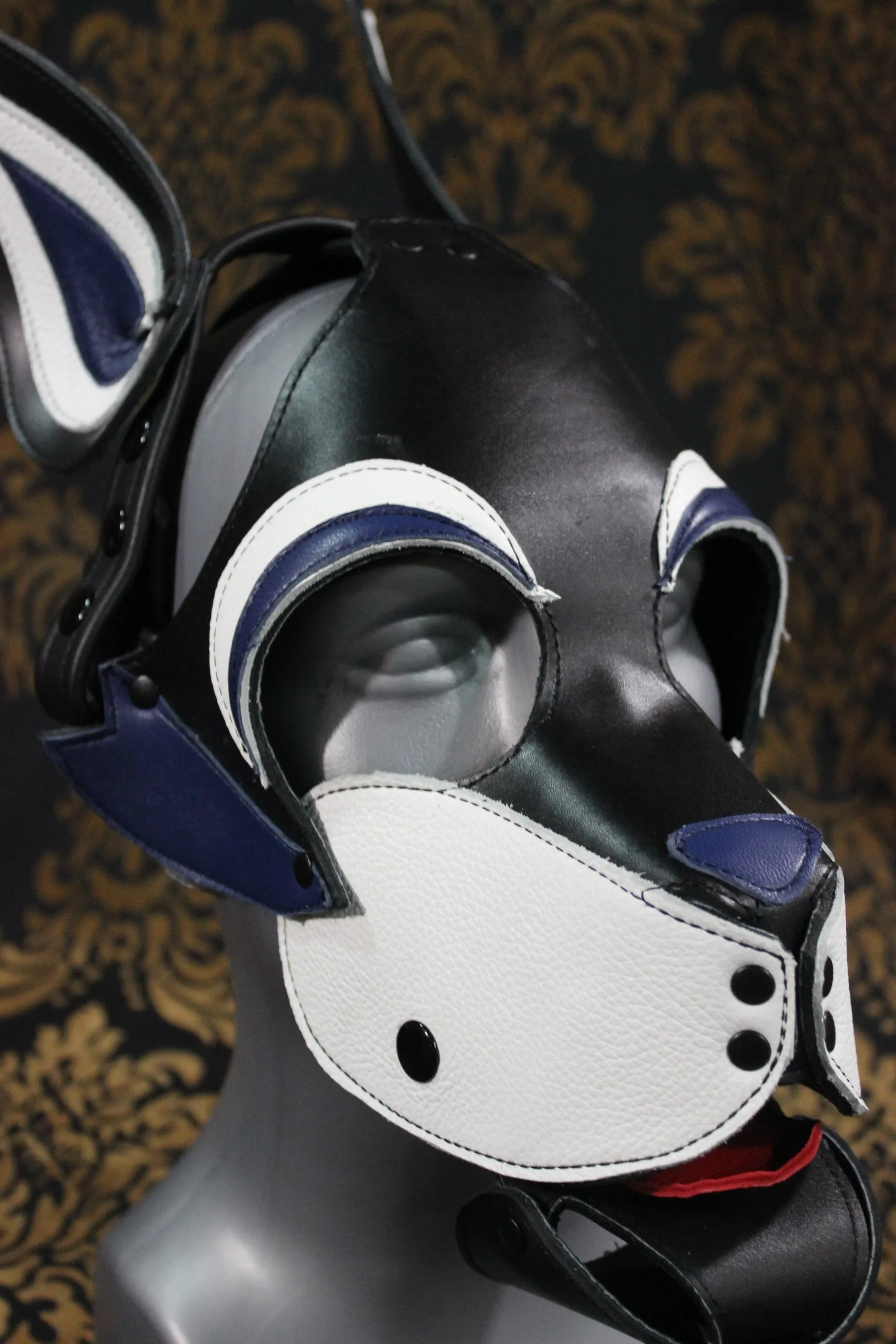 Husky style Pup Hood with Blue highlights