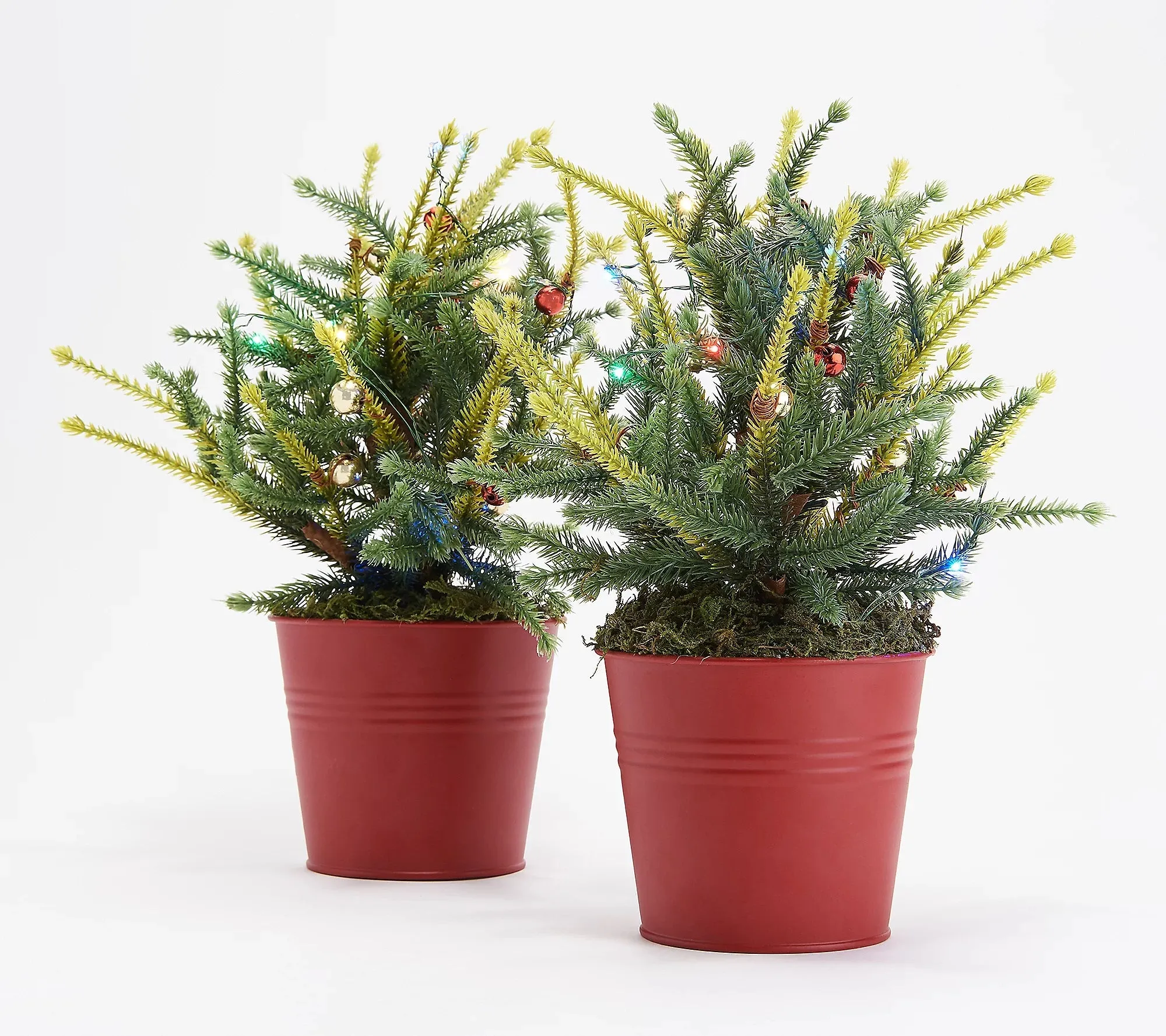 Kringle Express Set of 2 Classic Alpine Lit Potted Arrangements Silver,Color-Flip