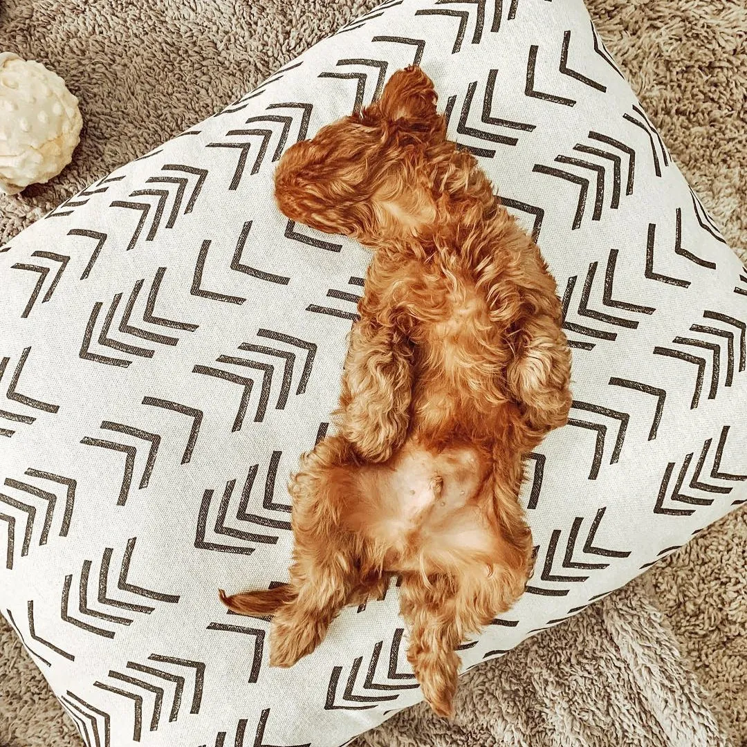 Modern Mud Cloth Natural Dog Bed