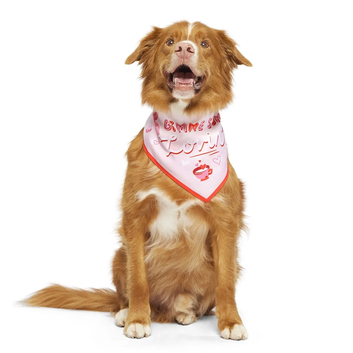 Valentine's Day Bandana